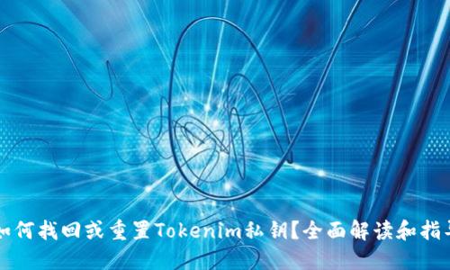 如何找回或重置Tokenim私钥?全面解读和指导
