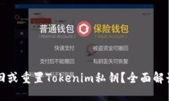如何找回或重置Tokenim私钥