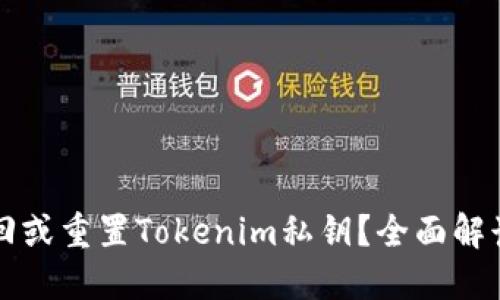 如何找回或重置Tokenim私钥?全面解读和指导