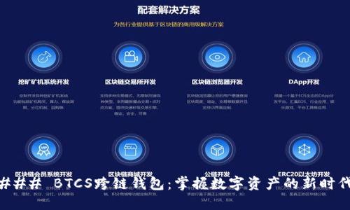 ### BTCS跨链钱包:掌握数字资产的新时代