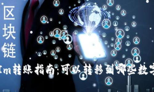 TokenIm转账指南:可以转移到哪些数字钱包?