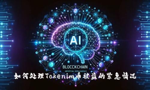 如何处理Tokenim币被盗的紧急情况