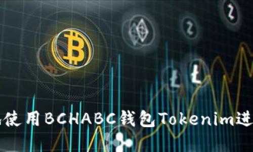如何快速安全地使用BCHABC钱包Tokenim进行加密货币交易