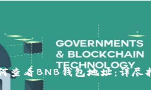 如何查看BNB钱包地址：详尽指南