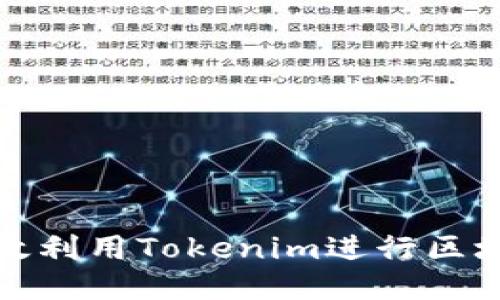 如何高效利用Tokenim进行区块链查询