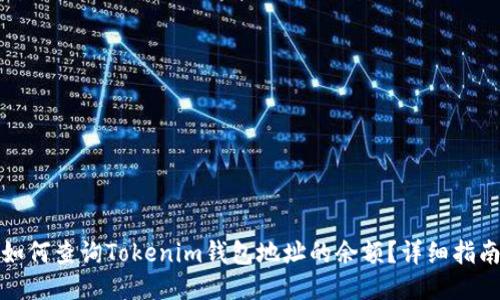 如何查询Tokenim钱包地址的余额？详细指南