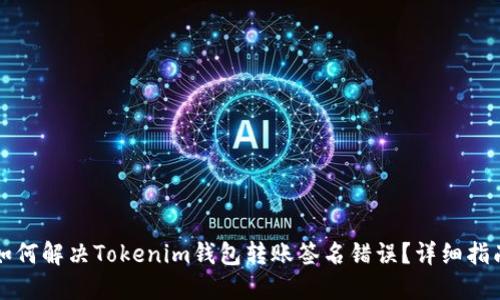 如何解决Tokenim钱包转账签名错误？详细指南