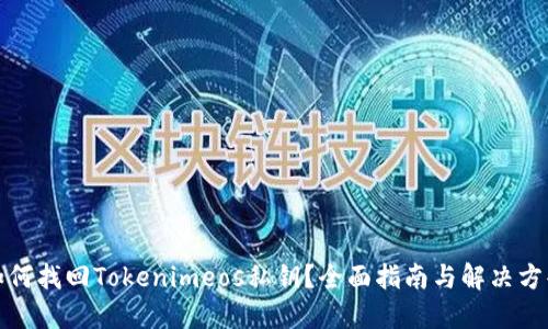 如何找回Tokenimeos私钥？全面指南与解决方案