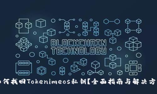 如何找回Tokenimeos私钥？全面指南与解决方案