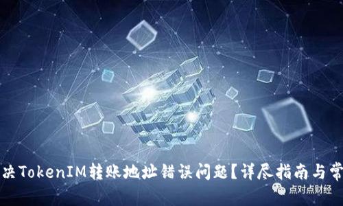 如何解决TokenIM转账地址错误问题?详尽指南与常见问答