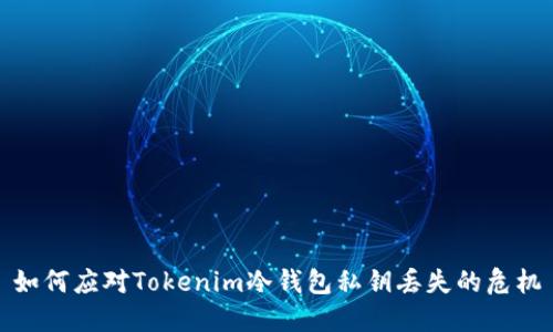 如何应对Tokenim冷钱包私钥丢失的危机
