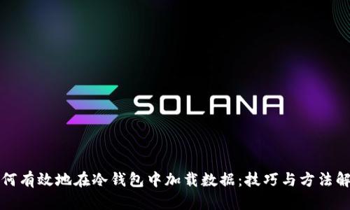 如何有效地在冷钱包中加载数据：技巧与方法解析