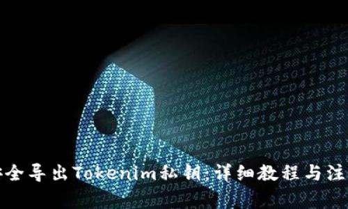 如何安全导出Tokenim私钥：详细教程与注意事项