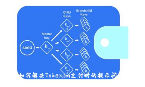如何解决Tokenim支付时的提示问题？