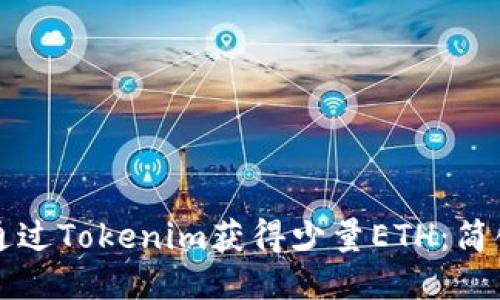 如何通过Tokenim获得少量ETH：简化指南