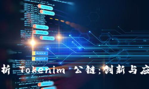 全面解析 Tokenim 公链：创新与应用前景