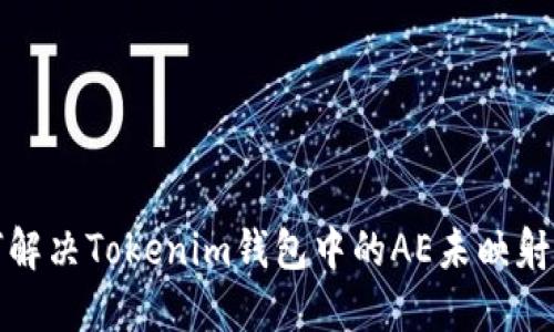 如何解决Tokenim钱包中的AE未映射问题
