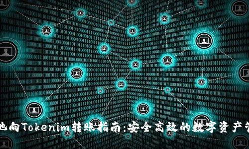 鱼池向Tokenim转账指南：安全高效的数字资产管理