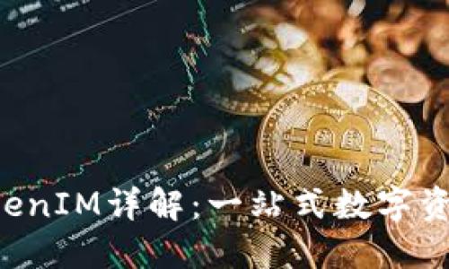  元宝网TokenIM详解：一站式数字资产管理平台