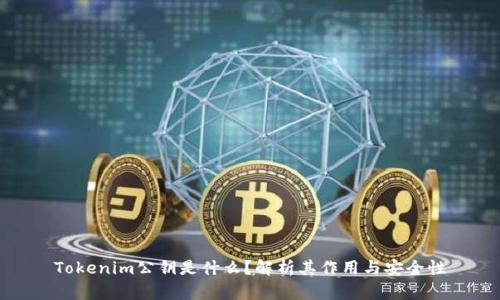 Tokenim公钥是什么？解析其作用与安全性