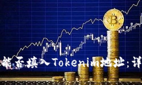 挖矿地址能否填入Tokenim地址：详解与判断