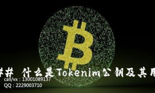### 什么是Tokenim公钥及其用途