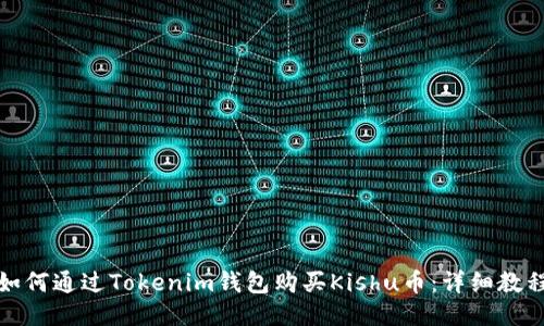 如何通过Tokenim钱包购买Kishu币：详细教程