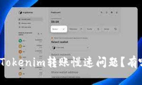 如何解决Tokenim转账慢速问题？有哪些建议？