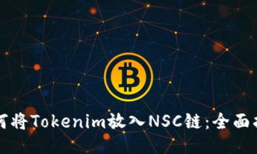 如何将Tokenim放入NSC链：全面指南