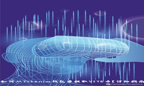 如何从Tokenim钱包中提取VITE币?详细指南